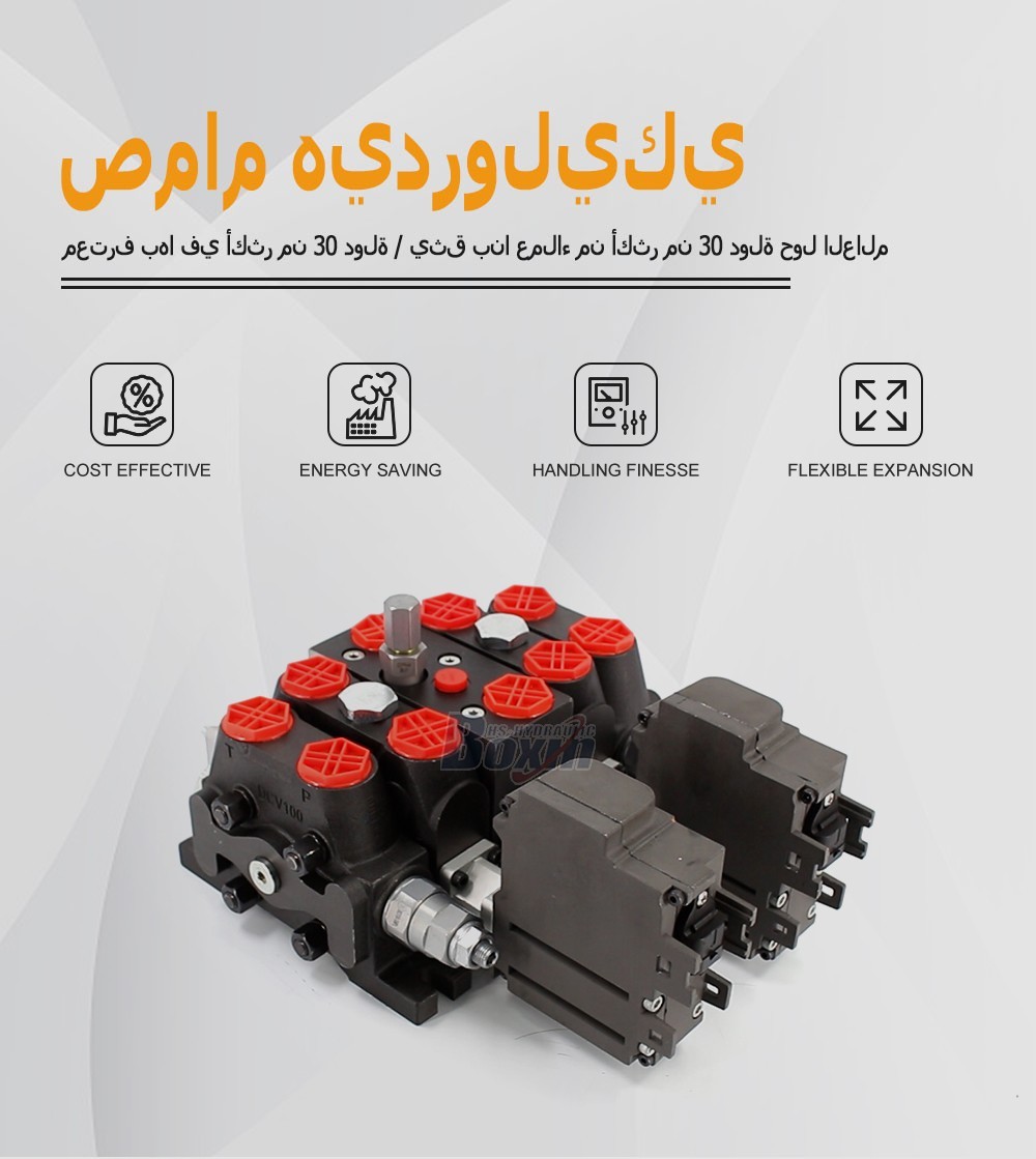 Seeking Business Partners and Agents for DCV100EMA-YT-JYT-J-K Electric Motor 2 Spool Sectional Directional Valve Distribution